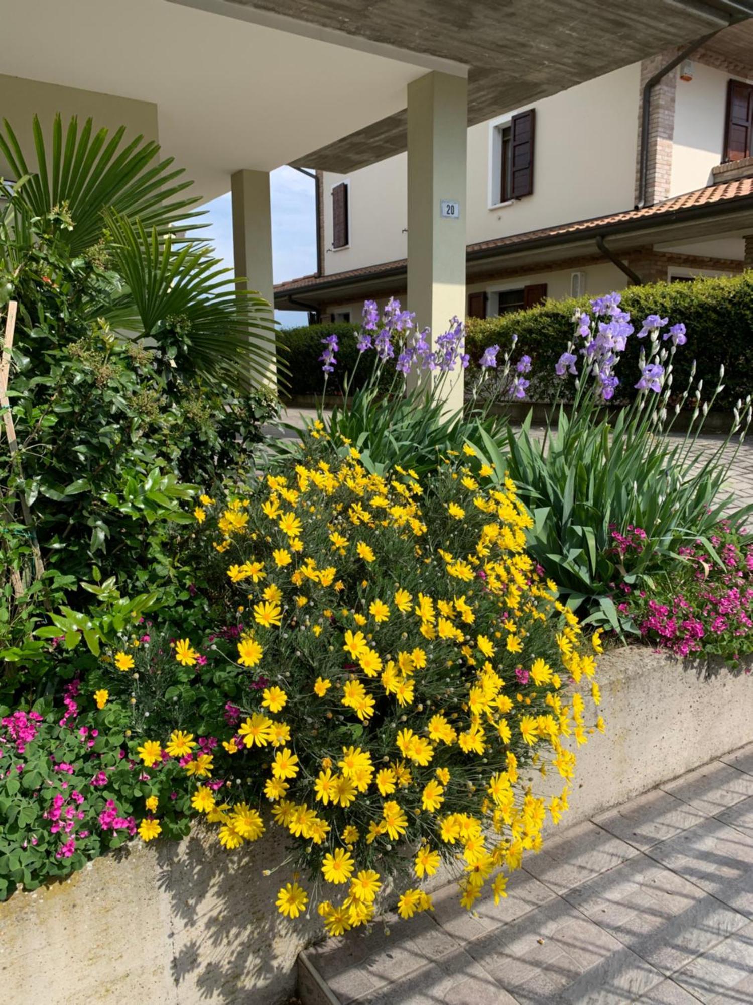 B&B La Salina Cannuzzo Esterno foto